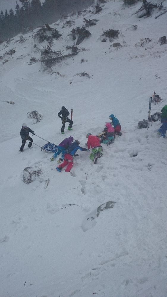 Słowackie Tatry. Polscy narciarze przygnieceni przez drzewo [ZDJĘCIA]