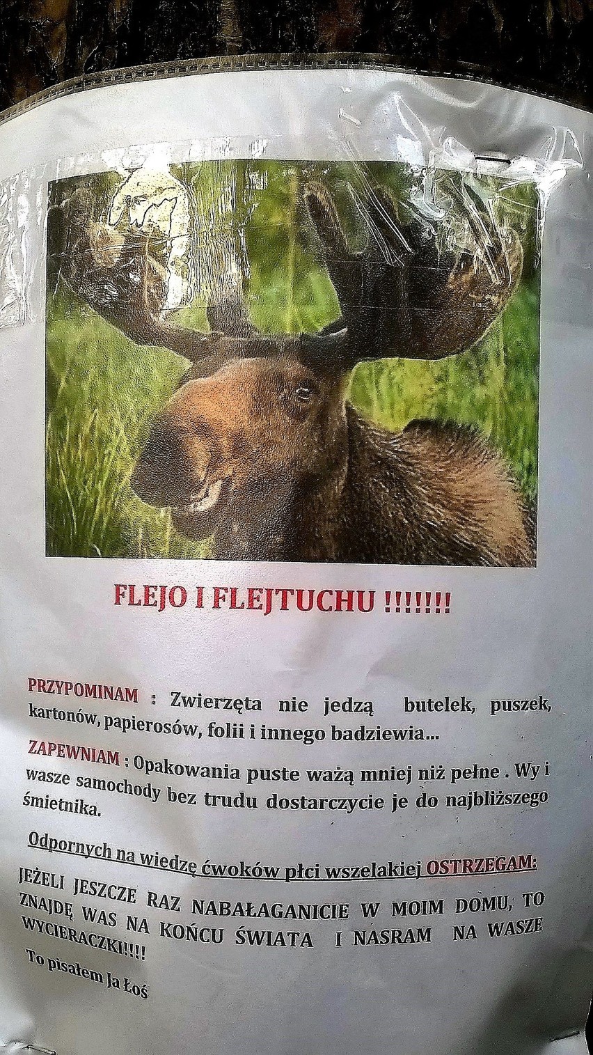 Na drzewach otaczających popularne kąpielisko w Pieckach...