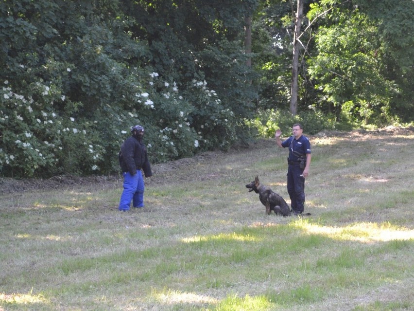 Radziejowscy policjanci wykorzystują każdą okazję, aby spotkać się z dziećmi i promować bezpieczne wakacje. Tak było w Czamaninie