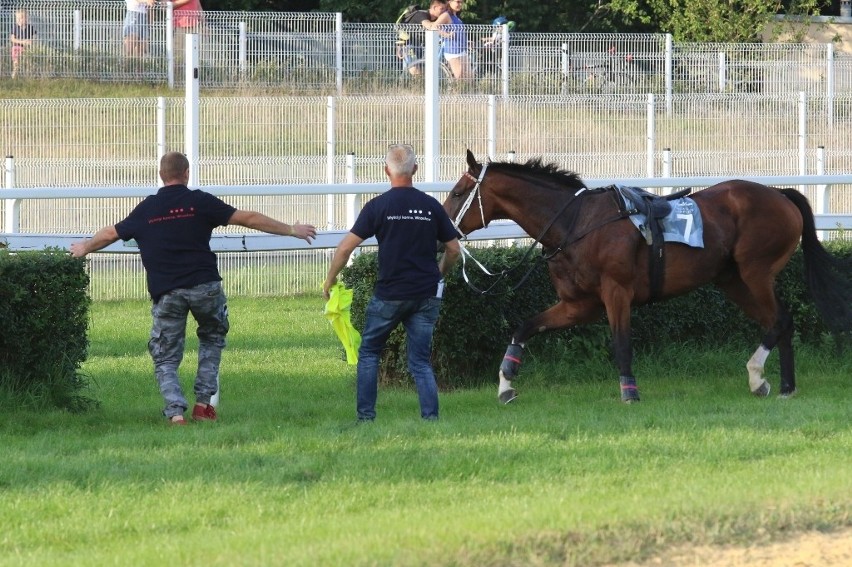 Wielka Wrocławska na Partynicach. Mnóstwo zdjęć z wyścigów konnych (ZDJĘCIA)