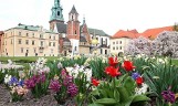 Kraków. Miejsca, które najładniej wyglądają wiosną. Wiosna eksponuje całe ich piękno i urok! Byliście w każdym z nich?