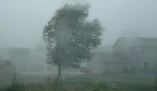 Ostrzeżenie meteorologiczne przed silnym wiatrem 1. stopnia! Synoptycy IMGW wydali ostrzeżenie przed wiatrem jaki będzie wiał w czwartkowy ranek w województwie łódzkim.