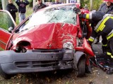Wypadek w Rotnowie pod Gryficami. Kobieta zakleszczona w samochodzie