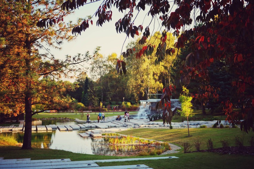 Ogród Japoński jesienią w Parku Śląskim to pięknie...