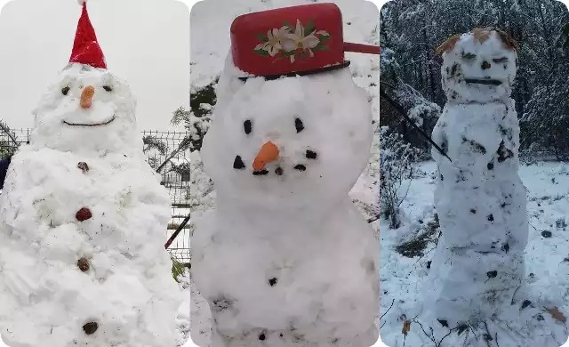 Poniedziałkowe opady śniegu ucieszyły bardzo wielu mieszkańców Torunia, którzy całymi rodzinami ruszyli bawić się białym puchem i lepić pierwsze w tym roku bałwany. Wiele z nich to nie tylko najprostsze trzy kule ze śniegu!Zobacz zdjęcia bałwanów będących dziełem torunian! ->>>> 