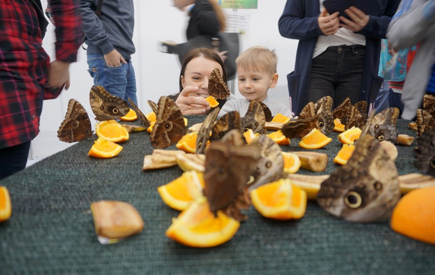 Wystawa i targi zoologiczne ZOOPARK w Lublinie. Zachwycające zwierzaki małe i duże. Zobacz zdjęcia