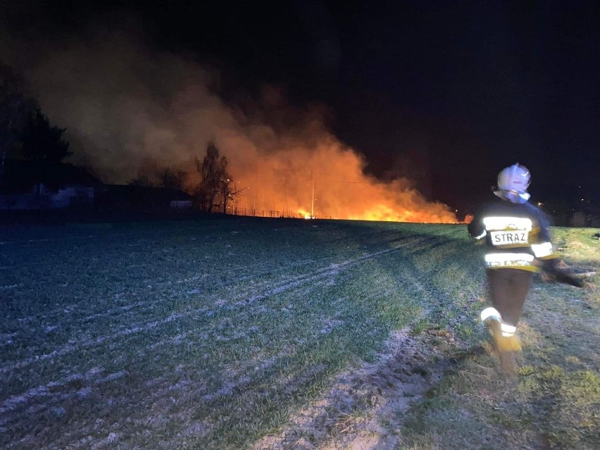 W Rzeszotarach w tym roku był już niejeden pożar traw....