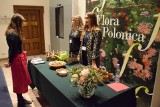 Niezwykła wystawa Flora Polonica w Muzeum Narodowym w Kielcach. Najstarszy eksponat ma 170 milionów lat. Zobacz zdjęcia