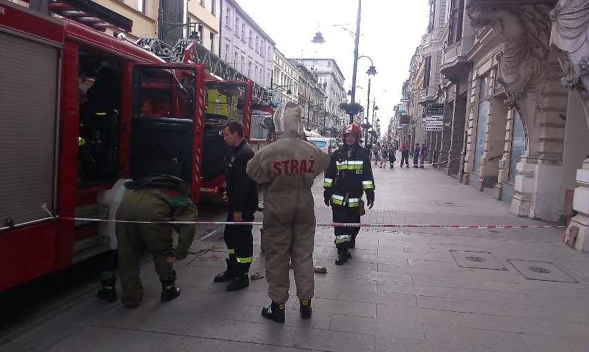 Akcja strażaków na Piotrkowskiej. Rój owadów zagrażał mieszkańcom [ZDJĘCIA]