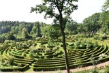 Arboretum Bramy Morawskiej w Raciborzu - wyjątkowe miejsce w województwie śląskim. Zachwyca nieodkrytymi atrakcjami. Musicie się tam wybrać
