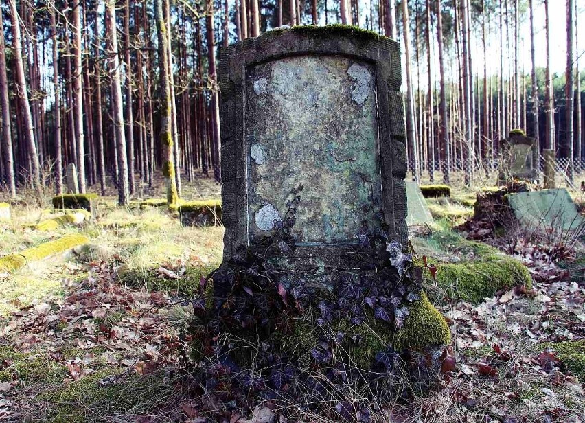 Cmentarz w Ługach (pow. nowosolski)