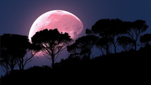W nocy z 7 na 8 kwietnia 2020 r. Księżyc znajdzie się w odległości 357 tys. km od Ziemi, podczas gdy średnia odległość wynosi 384 tys. km.