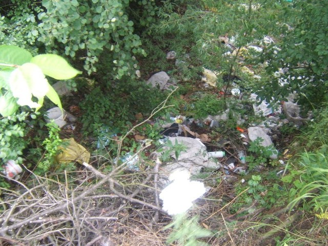 Zdarza się, że wrzucają worki z odpadami domowymi do pojemników przy cmentarzu. Inni wolą przywieźć śmieci do lasu i tam zostawić w krzakach albo w przydrożnych rowach