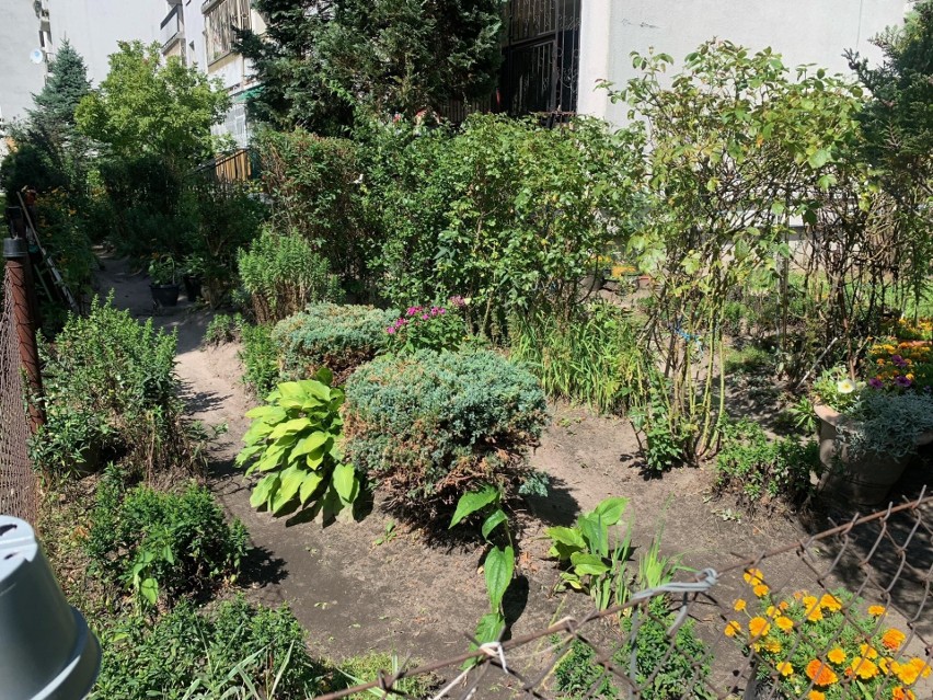 Piękne ogródki pod blokami są nie tylko na Retkini i Nowym Rokiciu Zobacz, jak wyglądają te na Radogoszczu Wschodzie