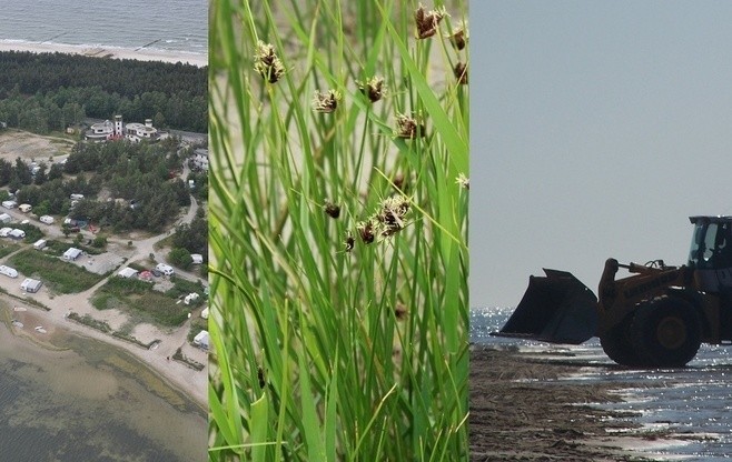 Władysławowo - Jastarnia. Plaże powiększone zostały nielegalnie. Przez kogo?