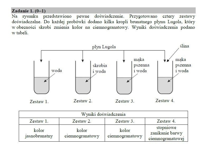 Egzaminy gimnazjalne 2019. PRZYRODA. ARKUSZE WRAZ Z ODPOWIEDZIAMI 