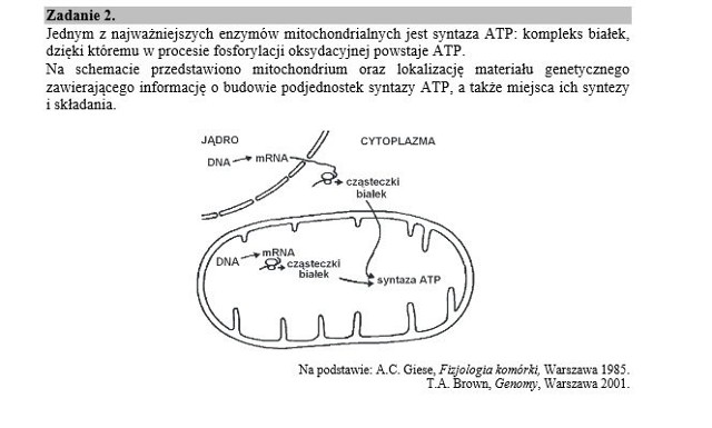 Matura 2016 Dziś biologia - co było? (PYTANIA, ODPOWIEDZI, ARKUSZE CKE)