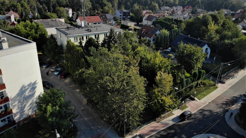 Kraków. 40 drzew pójdzie pod topór. Na ich miejscu wyrośnie wjazd i parking do nowego budynku Straży Miejskiej