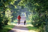 Pomysł na weekendową wycieczkę rowerową! Atrakcyjne szlaki w Lublinie i okolicach. Bychawa, Nałęczów a może Kozłowiecki Park Krajobrazowy?