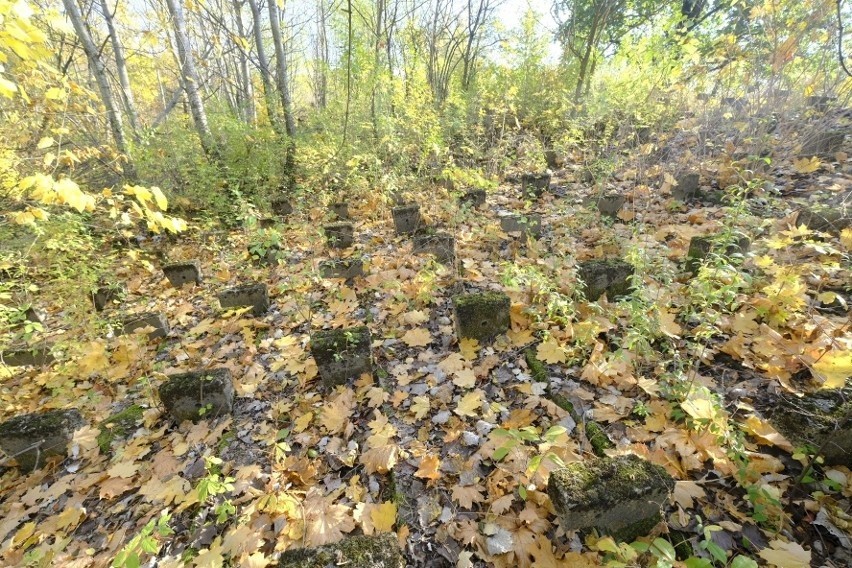 Zamiast stadionu im. Edmunda Szyca będzie park ciszy?