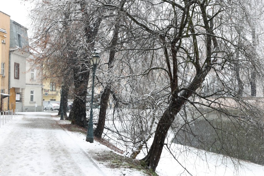 Bajeczna zima w stolicy Podkarpacia. Zobacz Rzeszów pod śnieżną pierzynką [ZDJĘCIA]