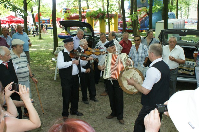 Niektóre kapele grały wśród widzów zgromadzonych w parku w Przysusze.