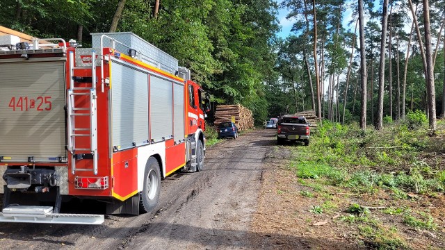 W lesie w Partęczynach w gm. Świecie nad Osą doszło do tragicznego wypadku podczas wycinki drzew