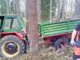 Tragedia w lesie koło Tychowa. Nie żyje mężczyzna
