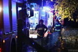 Ciało mężczyzny znaleziono w spalonej altance przy ulicy Luboszyckiej w Opolu [ZDJĘCIA] 