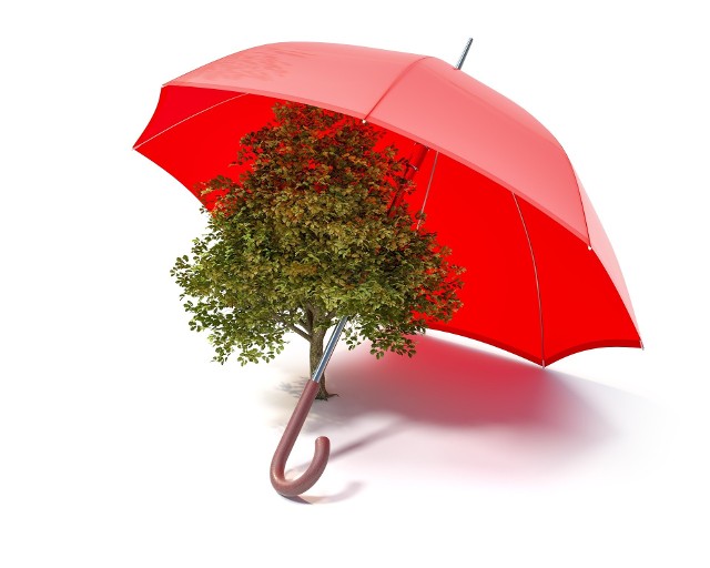 Czy "parasol" z księżycowego pyłu pomógłby przeciwdziałać globalnemu ociepleniu?