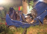 Wypadek w Poddębicach i m. Sanie. W zderzeniu z drzewem zginął mężczyzna ZDJĘCIA