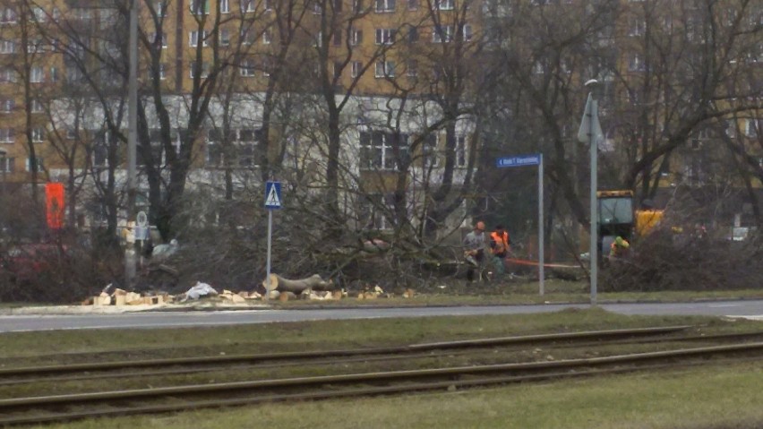 Sosnowiec: objazd i wycinka drzew na Starym Sosnowcu. To początek budowy ronda [ZDJĘCIA]