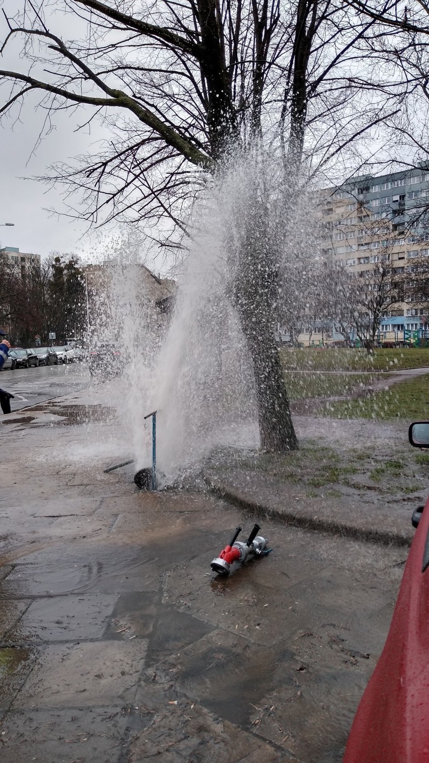 Awaria wodociągu we Wrocławiu. Woda tryskała kilka metrów w górę [ZOBACZ]