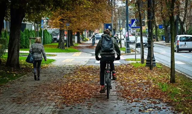 Programy dotacji do rowerów elektrycznych działają na poziomie samorządów. Póki co pieniądze można dostać w niektórych miastach w Polsce.