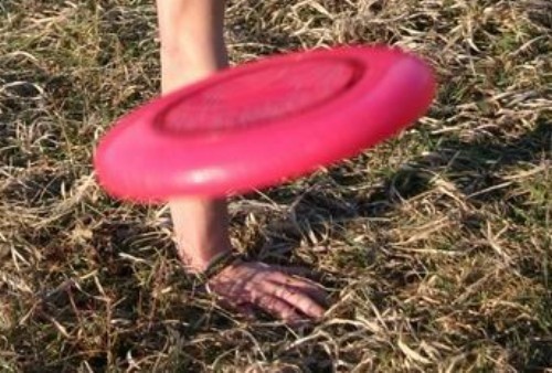 Frisbee to latające plastykowe dyski (talerze) używane w sporcie i rekreacji