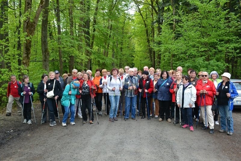 Bielsko-Biała: seniorzy włączyli się w ogólnopolski marsz UTW 2015 [ZDJĘCIA]