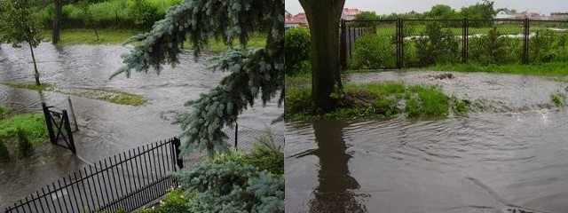 Z lewej strony stan z 1 czerwca, zdjęcie z prawej - 1 lipca...