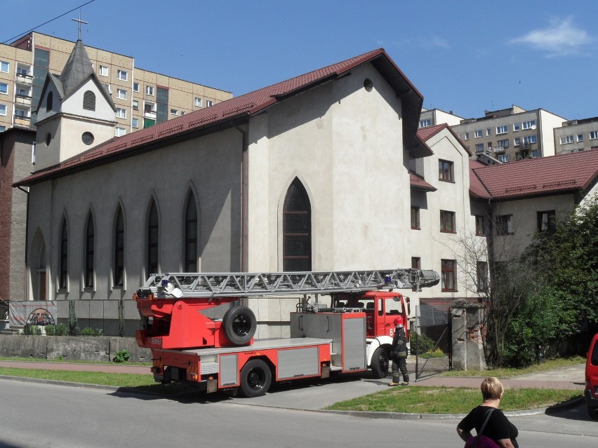Sosnowiec: Osy w klasztorze