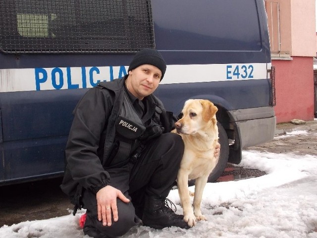 Lupi, 6-letni labrador, służy w żarskiej jednostce policji od czterech lat. Szukanie narkotyków traktuje jak zabawę. Jest bardzo zżyty ze swoim opiekunem.