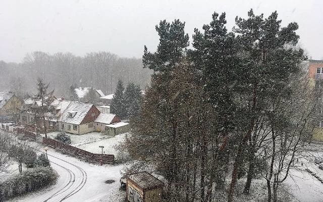 Synoptycy ostrzegają, że do Polski wraca zima. Czy to jej ostatni atak?