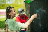 Festiwal Szkoły w Chmurze w Poznaniu. Liczne wydarzenia przy nabrzeżu na Szelągu 