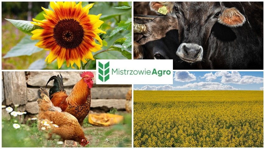 Mistrzowie Agro. Ostatnie dni głosowania w powiatach! Jak idzie Waszym sąsiadom?