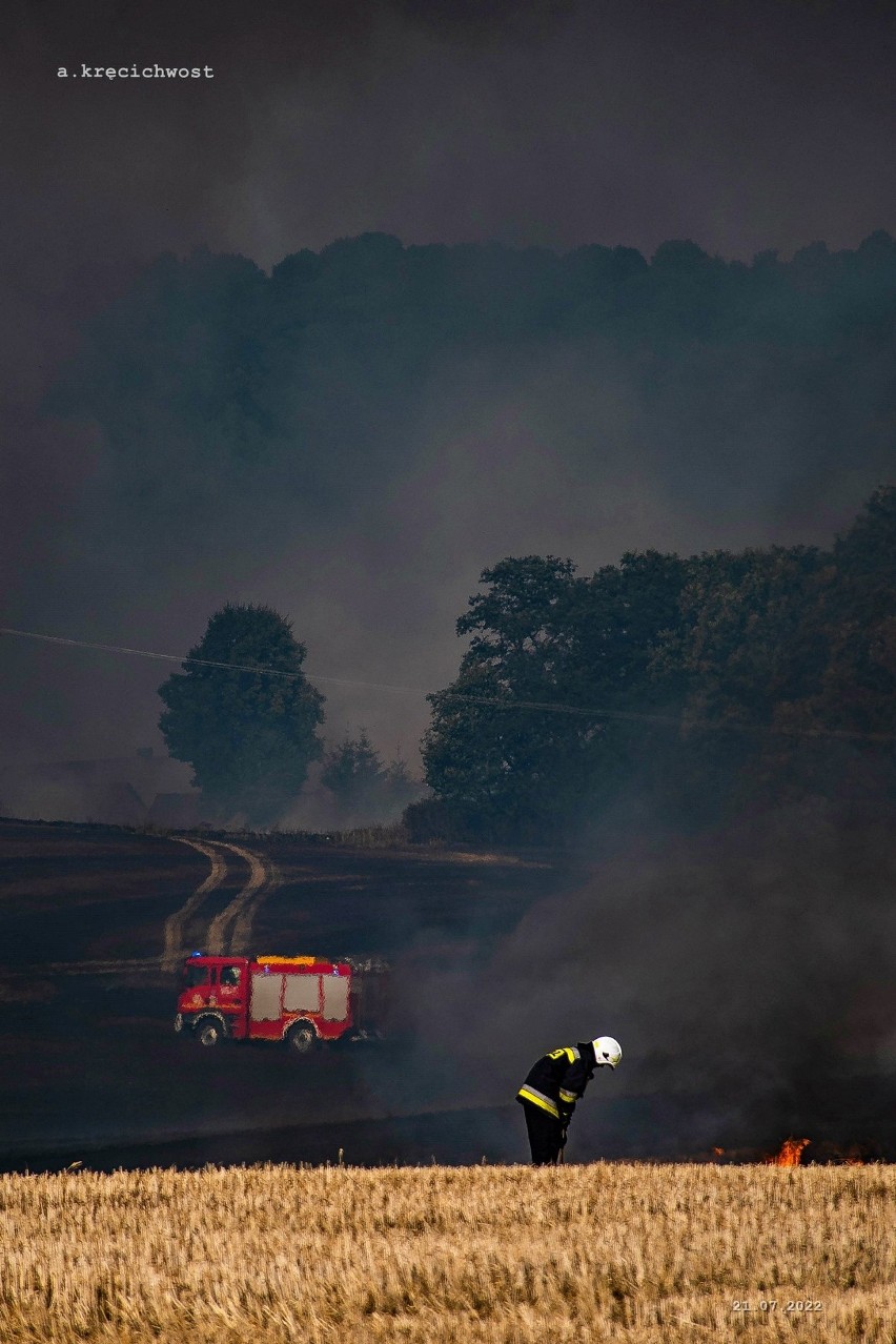Pożary na Dolnym Śląsku od wczoraj spowodowały wielkie...