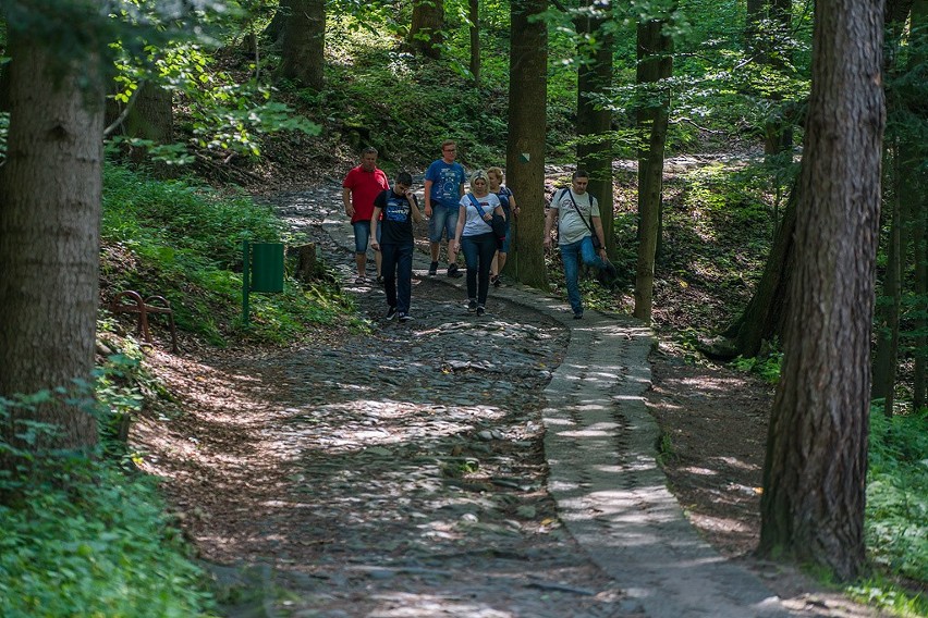 Spacer na Górę Parkową grozi skręceniem kostki