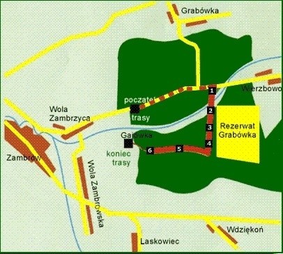 Mapka ścieżki edukacyjnej w Rezerwacie Grabówka