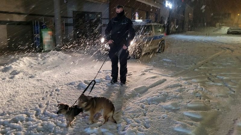 Mundurowi zostawili psy pod opieką OTOZ Animals w...