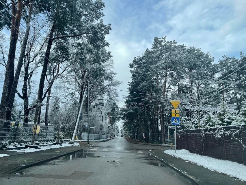 Zima w miejscowości Trzcianki w gminie Nowiny.