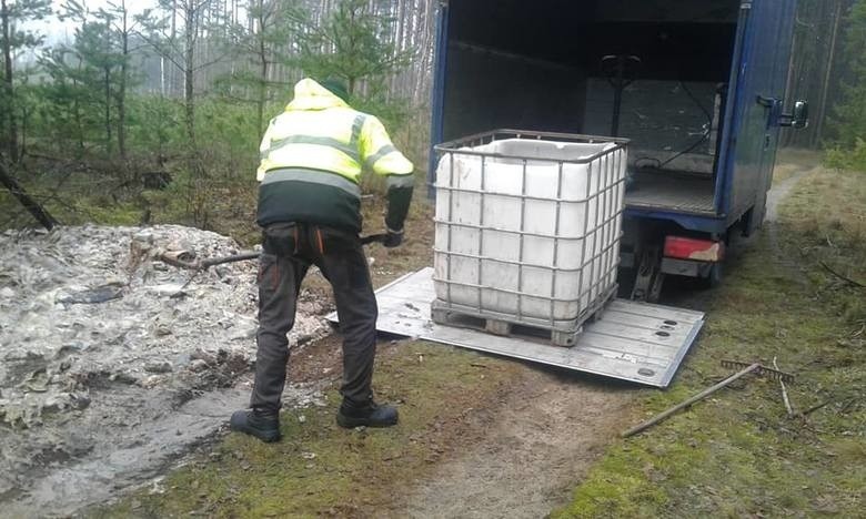 Wyrzucił do lasu 600 kg ryb! Policja ustaliła, że sprawcą jest przedsiębiorca z powiatu człuchowskiego