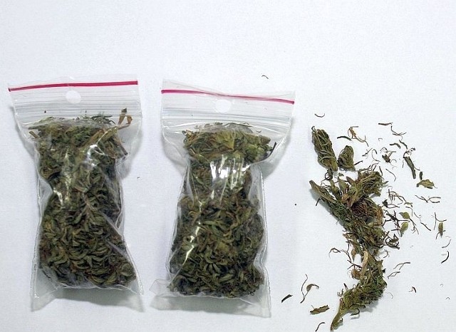 Policjanci znaleźli ponad 360 gramów marihuany i 100 gramów amfetaminy.