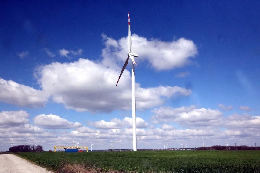 Branża odnawialnych źródeł energii w Polsce przeżywa...